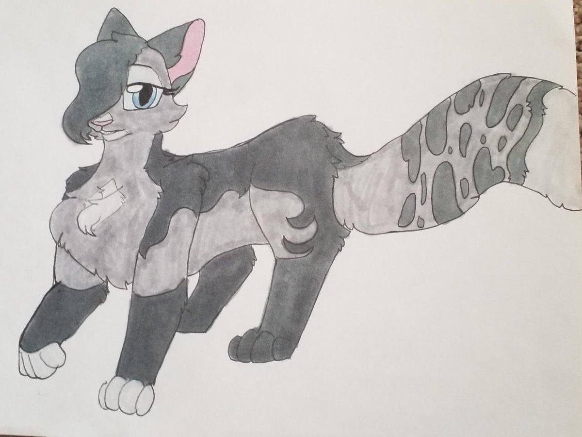 Kattren055's tweet photo. Mistystar's Redo
#warriorcat #mistyfoot #mistystar https://t.co/ncqjlKI5Nd