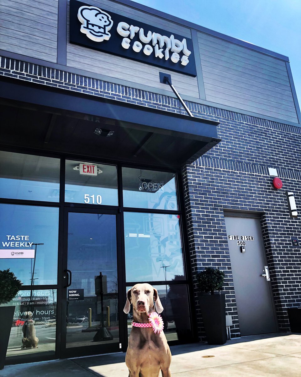 Christine DiPasquo Robinson tweet media