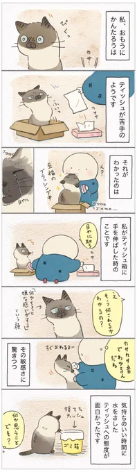 嫌～な気配には敏感! ティッシュに手を伸ばしただけで察知する猫【連載】ねこ連れ草 220話め|ねこのきもちWEB MAGAZINE https://t.co/skMNEw0b3N 