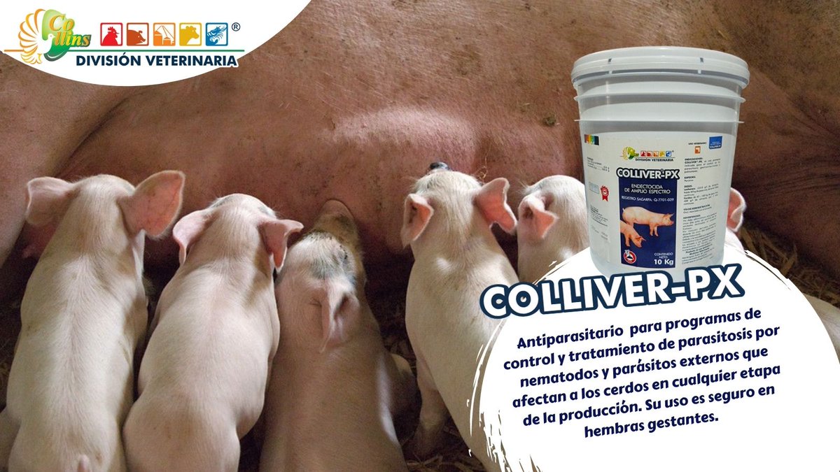 cdveterinaria's tweet photo. COLLIVER Px, ivermectina al %0.6, con potente acción endectoparasiticida, efectivo y seguro en hembras gestantes. Si quieres conocer más beneficios de este producto, contáctanos y  síguenos en nuestras redes sociales. #excelenteiniciodesemana https://t.co/ixF8Q9ZQZd