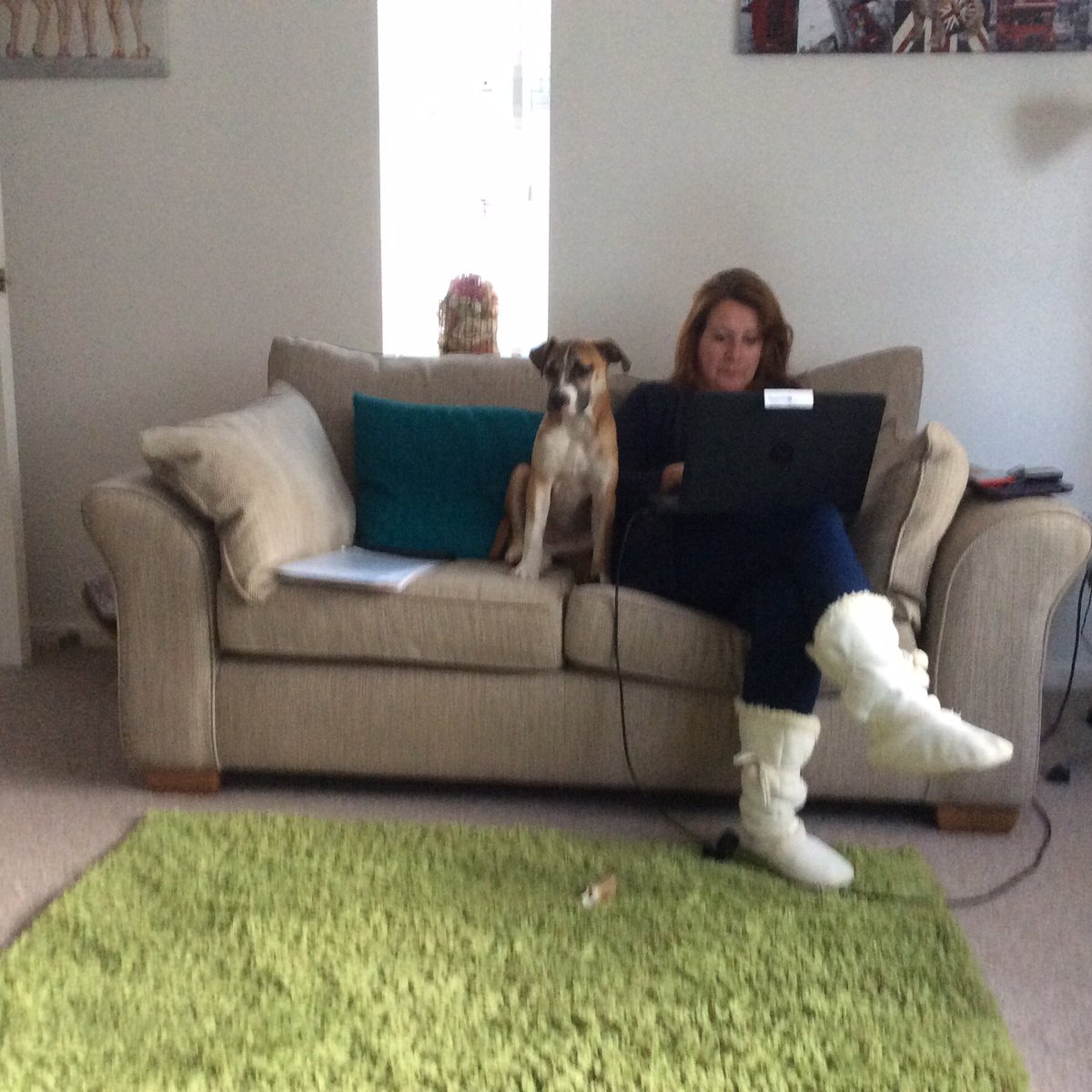 hugopooch's tweet photo. Today our mummy @Sandra_Younger will be 60 happy birthday to the best mummy any fur baby could have xxxx https://t.co/SdwL0uwmXh