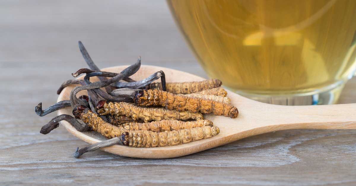 FunGuysClubNFT's tweet image. Happy #mushroommonday!

Today's featured mushroom is Cordyceps!
Benefits:
Boost exercise
Anti-aging
Anti-tumor
Treat diabetes
Anti-inflammation

Uses:
Tea
Capsules
Tinctures
Drink powder