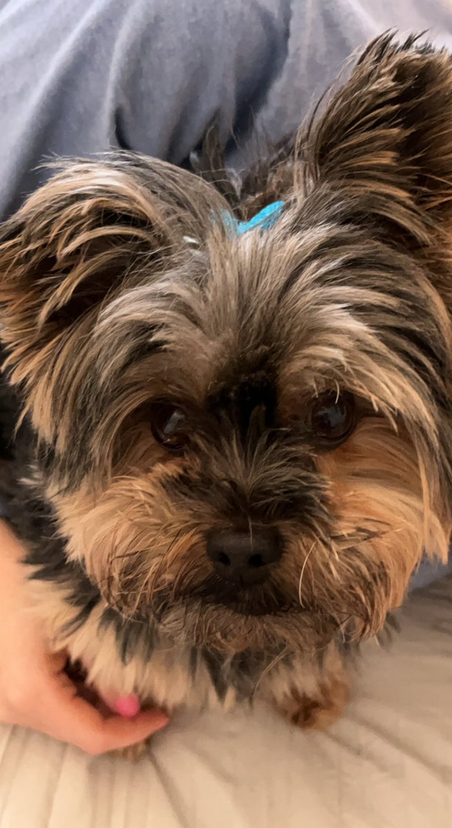 Hey fwands! Look at my puppy eyes 🥺🐶 show me yours!