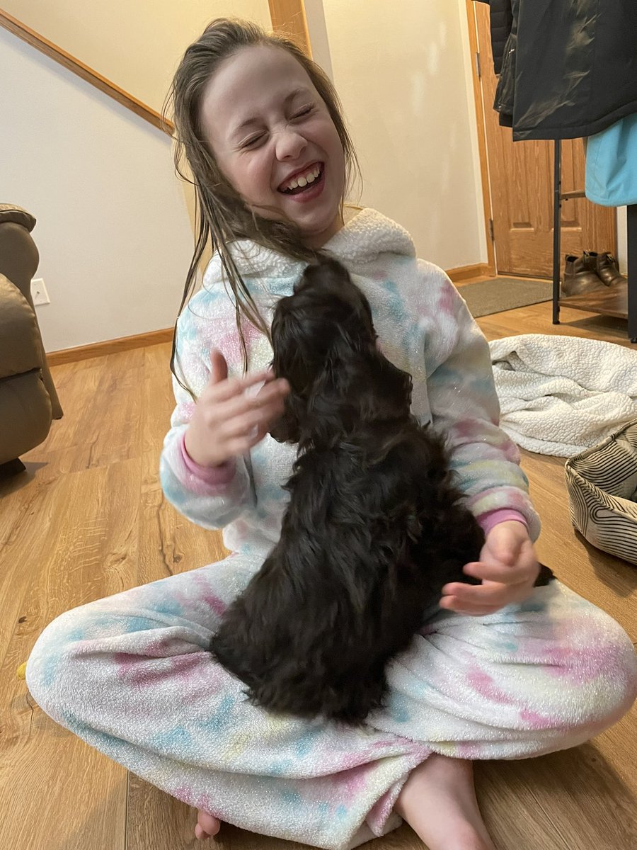 Jason Krogman tweet media