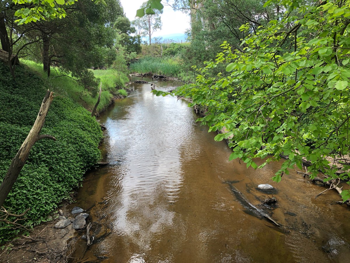 Melbourne Water tweet media
