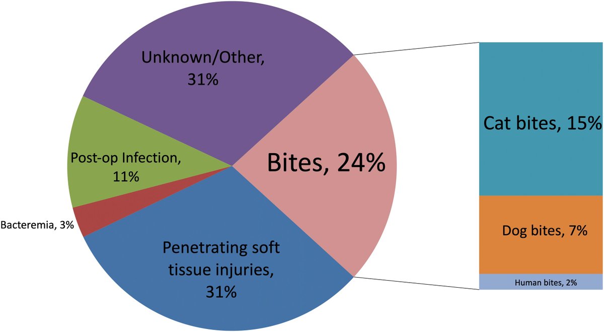 J Bone & Joint Surg (@jbjs) on Twitter photo Preoperative Antibiotics Influence Culture Yield in the Treatment of Hand, Wrist, and Forearm Infections
<a href="/MayoClinic/">Mayo Clinic</a> <a href="/AnthonyLogliMD/">Anthony L. Logli, M.D.</a> <a href="/KMallettMD/">Katherine Mallett, MD</a> @GinaSuhMD
ow.ly/HwyS30sfvM2 Preoperative Antibiotics Influence Culture Yield in the Treatment of Hand, Wrist, and Forearm Infections
<a href="/MayoClinic/">Mayo Clinic</a> <a href="/AnthonyLogliMD/">Anthony L. Logli, M.D.</a> <a href="/KMallettMD/">Katherine Mallett, MD</a> @GinaSuhMD
ow.ly/HwyS30sfvM2