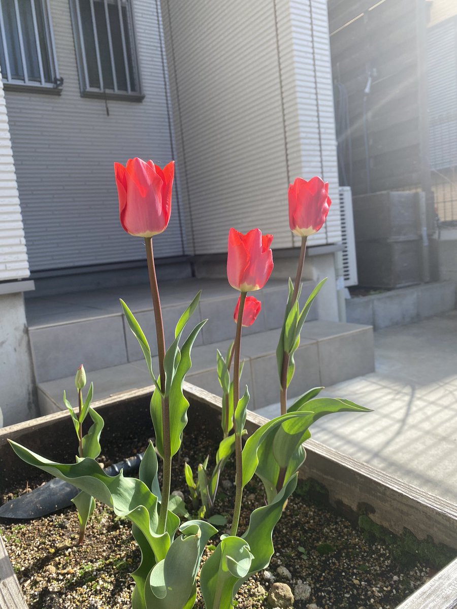 おはようございます☁️
本日9時〜20時まで営業しております。
ご来店、お問い合わせ
心よりお待ちしております🌷