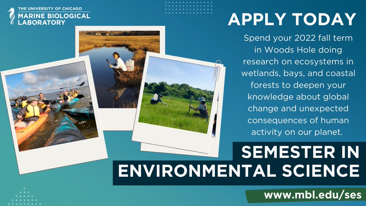 Marine Biological Laboratory (MBL) tweet media