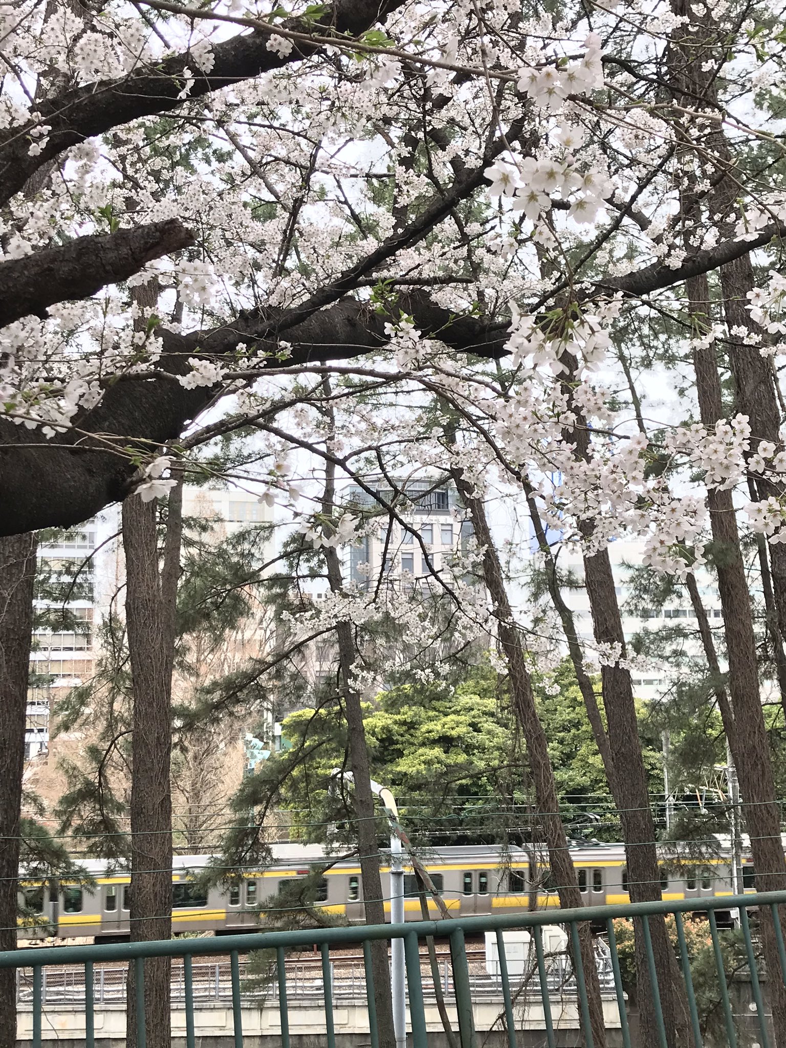 東京司法書士会 (@TokyoSSAssoc) / Twitter 東京司法書士会 (@TokyoSSAssoc) / Twitter