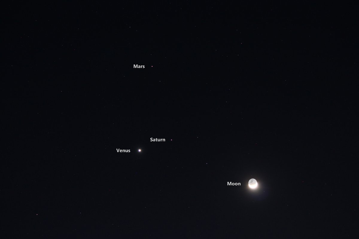 reactordrone's tweet image. A little group this morning.