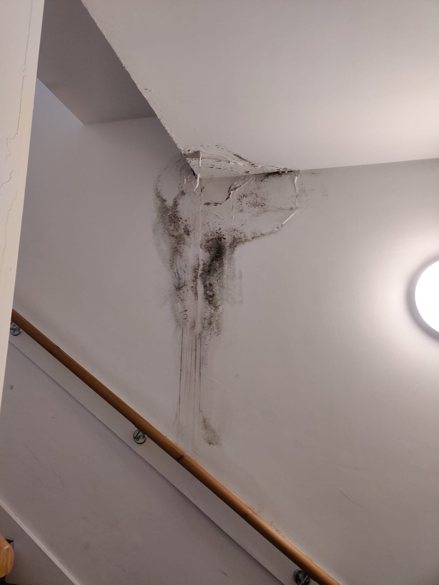 ESLeaseholders#BuildingSafetyCrisis tweet media