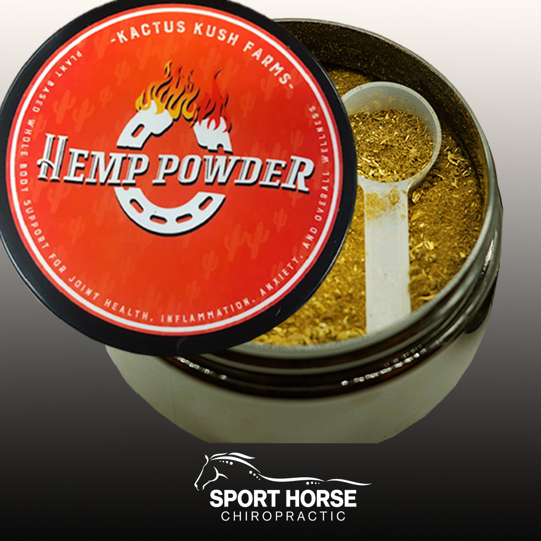 drmikeadney's tweet photo. #SportHorse #Chiropractic offers #CBD products for #people, #horses, and #dogs.
Feature product: CBD #Equine #CBDFeedSupplement - Plant based whole body support for animals, and people.
Shop Here: https://t.co/wVpjlrg8dX https://t.co/SjG0gOShH6