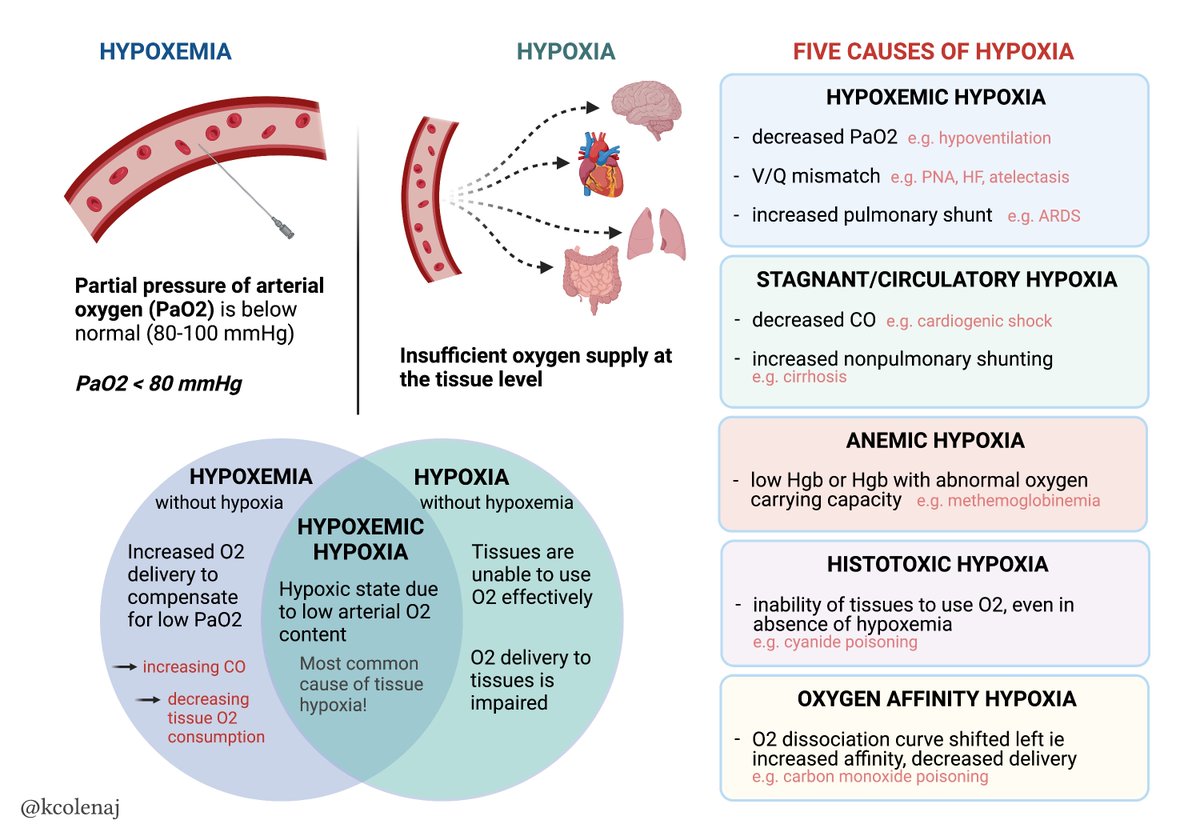 Jane Lock, MD, PhD 駱盈潔 tweet media