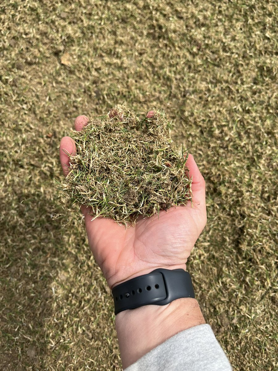 Firming south fairways up on a chilly Monday @jonurbo @codysanderturf @BradenThomas07