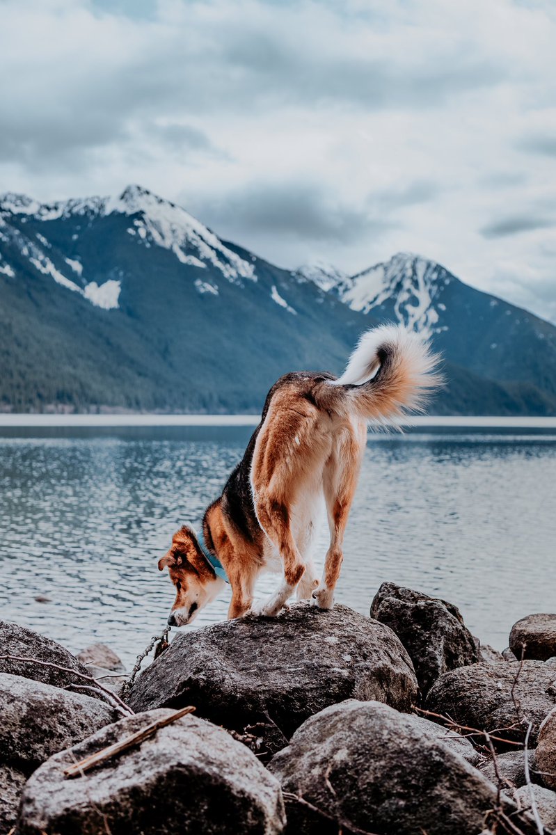 is #mountainmonday a thing on here? 🏔