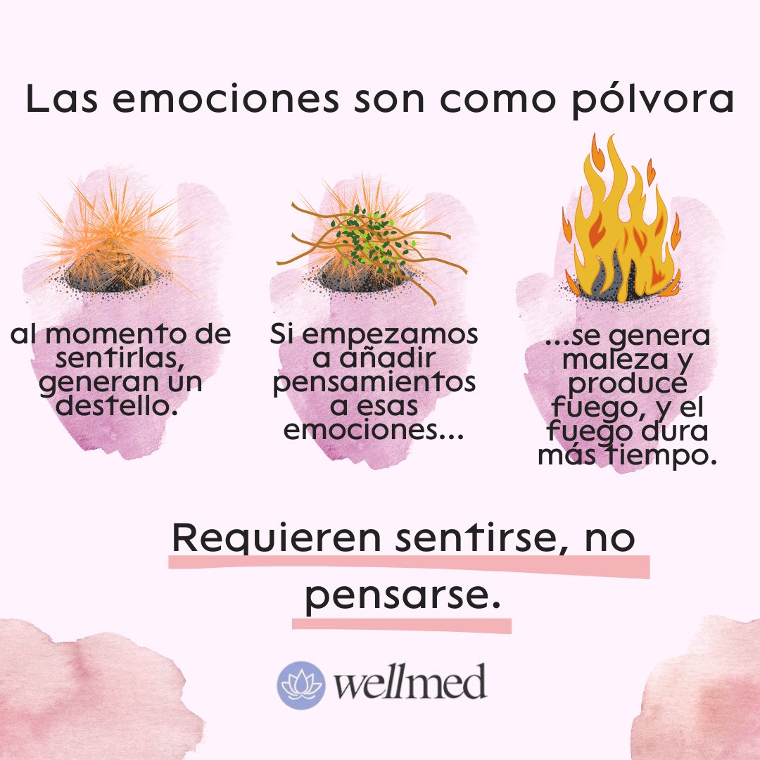wellmedgestimed's tweet photo. Aprende a controlar tus emociones mediante el poder de la meditación, libera lo que te causa ansiedad 🧘‍♂️🧘‍♀️ HILO https://t.co/KSbnMAZe9B