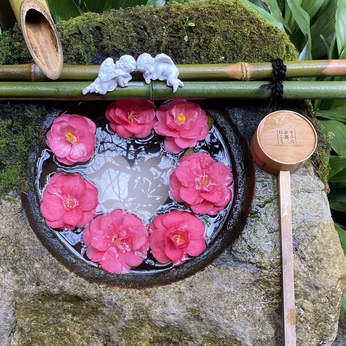 shop__Kaori__'s tweet photo. 久しぶりに晴れました☀️
そうだ
京都、
行こう
#柳谷観音楊谷寺
#花手水
#京都
#Kaor https://t.co/FHpi9G16x1