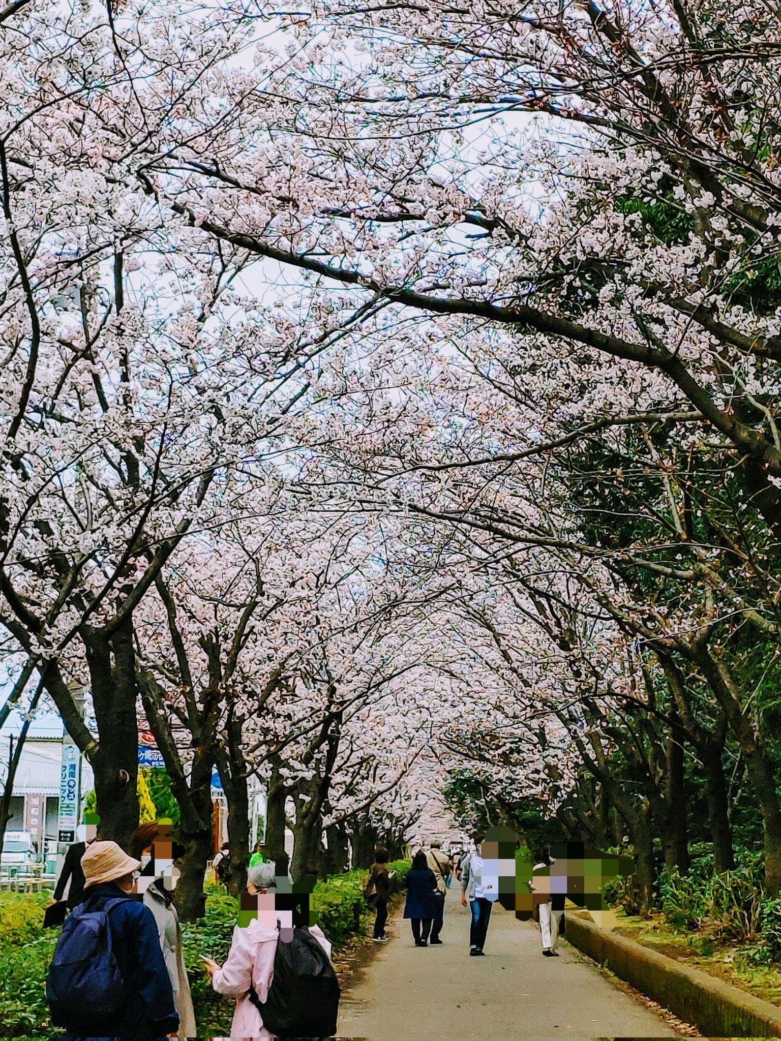 第一カッターきいろ公園 Twitter Search Twitter