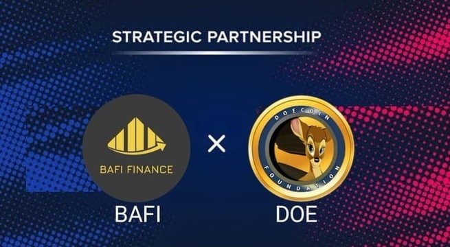 🔰 Doecoin &amp; BAFI Airdrop
🎁 Reward Pool: 348,000 $DOE
👥 Referral: Top 200 Referrals 
🧶 Rate: ⭐️⭐️⭐️⭐️⭐️
🗓 Distribution Date: 20th April, 2022

📚 Airdrop Link: t.me/DoecoinAirdrop…

📡 Website: doecoin.network #AirdropRampage