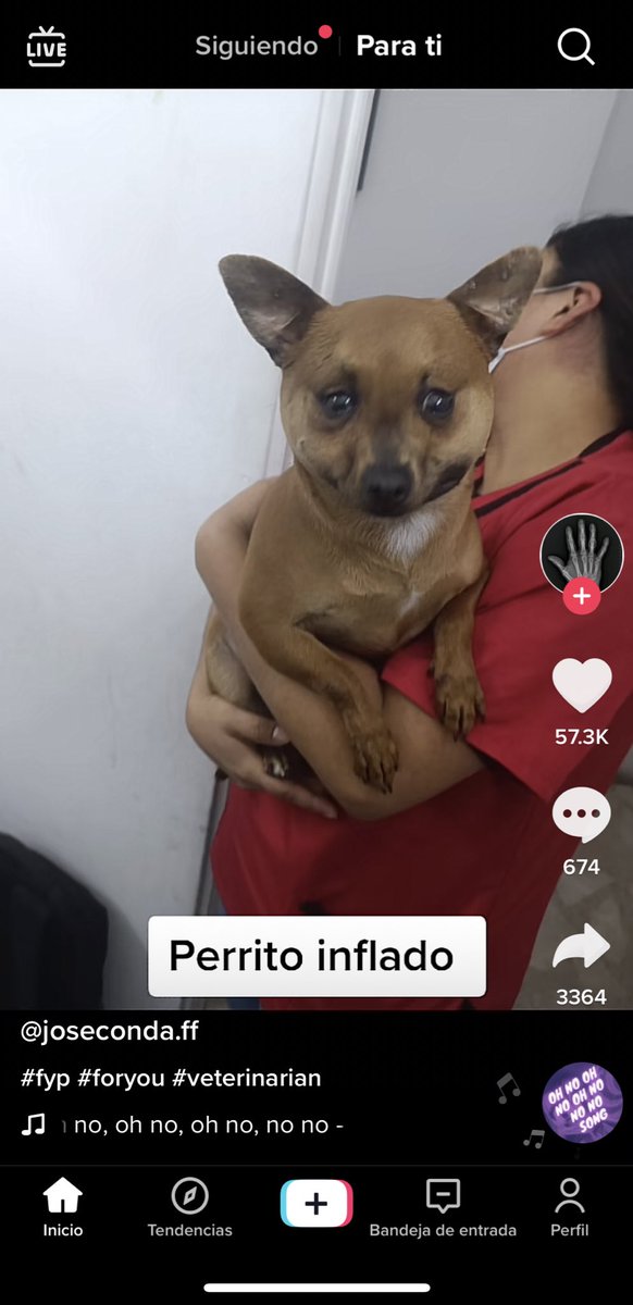 te quiero mucho perrito inflado de mi fyp