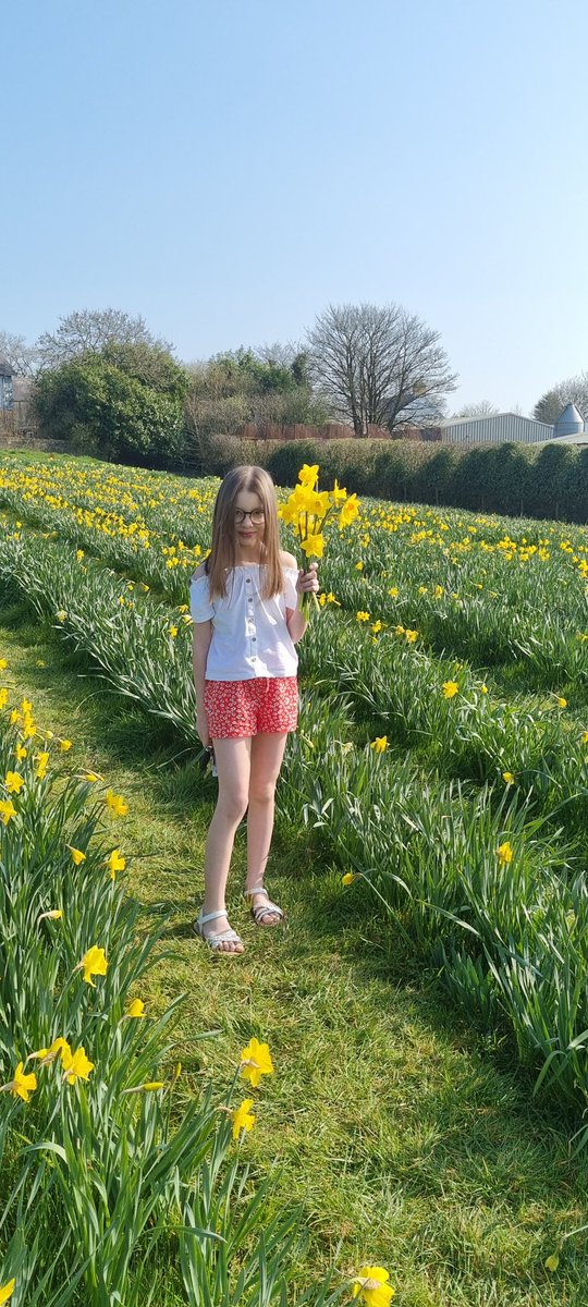 Homersimpy's tweet photo. Field of Hope. https://t.co/amcYTFQU2s