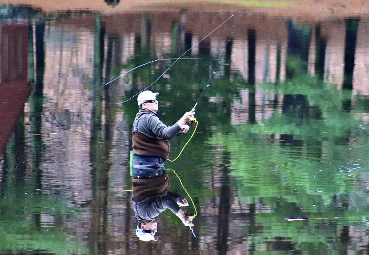 lynnsferrazza1's tweet image. #MarchReflectionChallenge #ChatfieldHollow