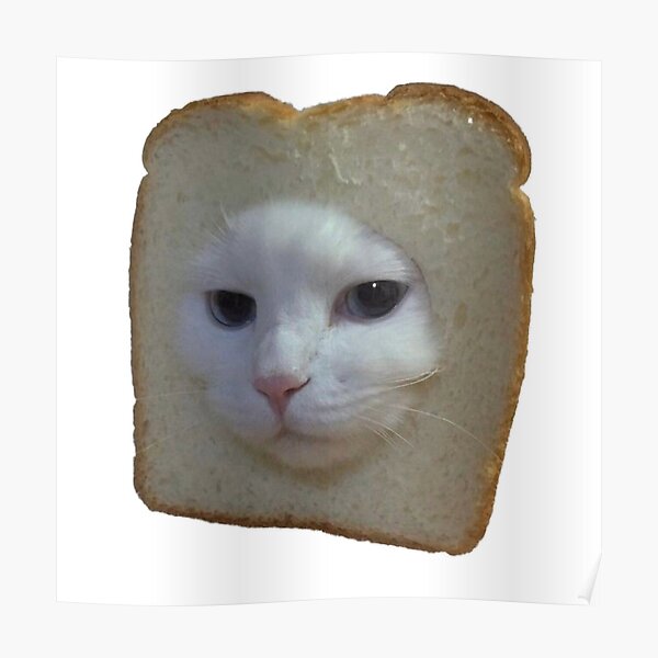 Apollo_DaV's tweet photo. bread https://t.co/BhnGOwXlJz