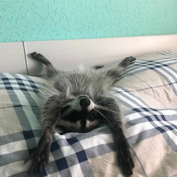hav good day https://t.co/2nyaHLvylL