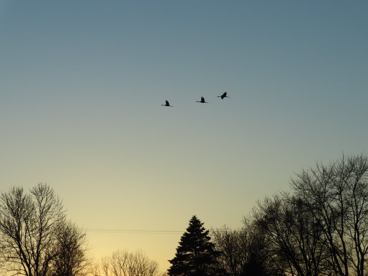 PLKlein_Author's tweet photo. "Believe in your dreams. They were given to you for a reason." ~ #KatrinaMayer #SaturdayMotivation #ThinkBIGSundayWithMarsha #SaturdayThoughts #ThinkingOutLoud #QuickQuotes #Believe #Dreams https://t.co/6qEjKYQPvD