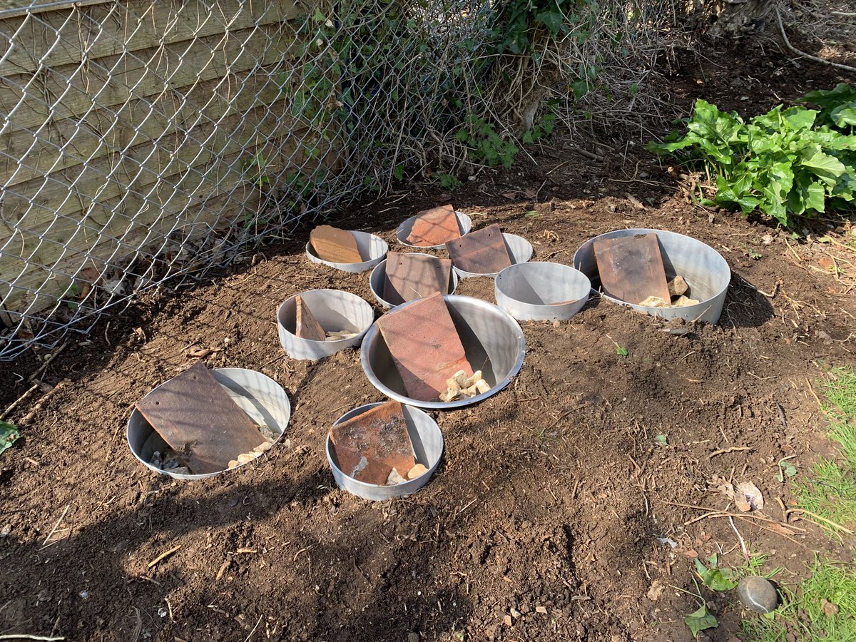 DroxfordJun's tweet photo. Another productive Dig Day at school. So much achieved by so many. Thank you! https://t.co/OLZKrQau3m