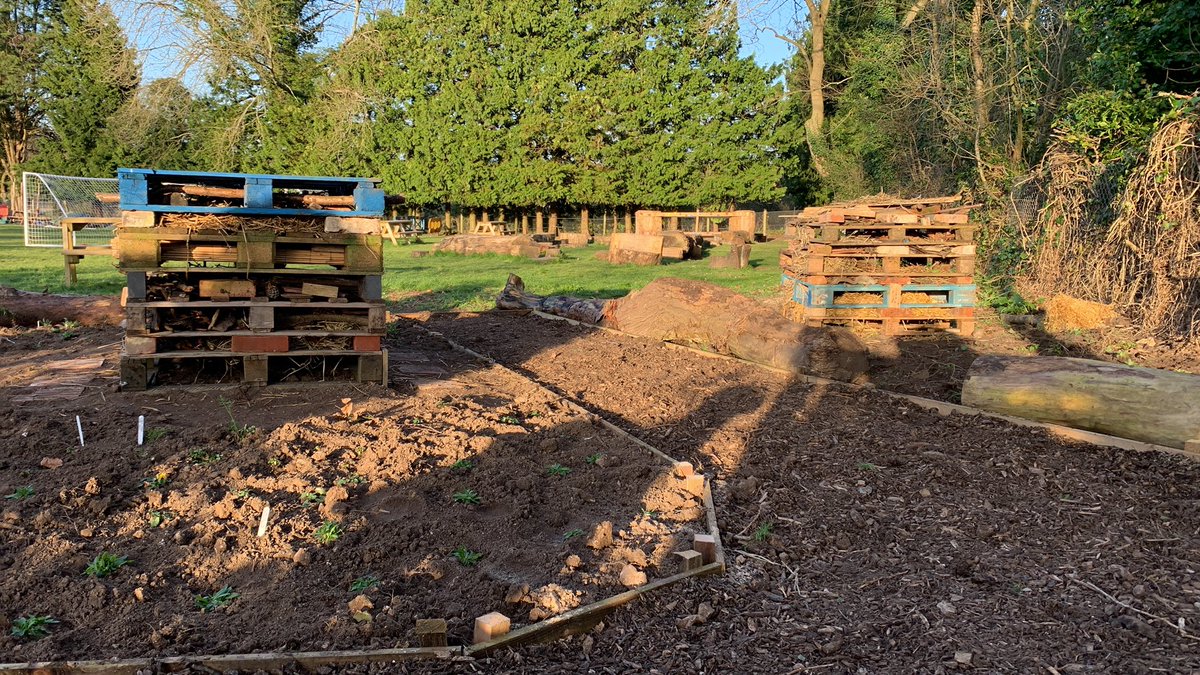 DroxfordJun's tweet photo. Another productive Dig Day at school. So much achieved by so many. Thank you! https://t.co/OLZKrQau3m