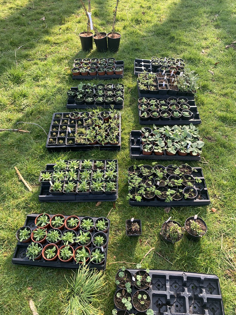 DroxfordJun's tweet photo. More Spring Dig Day pictures https://t.co/NnST30UyWO