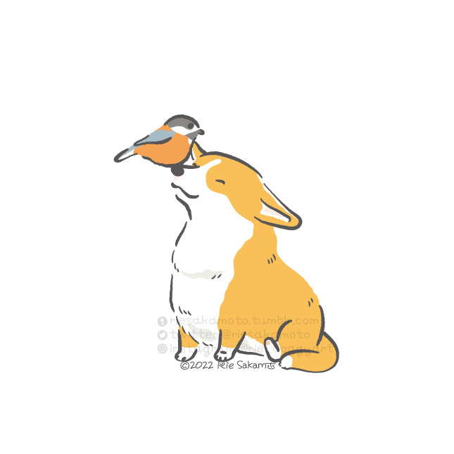 「コーギーとヤマガラ(7/9) 」|サカモトリエ/イラストレーターのイラスト