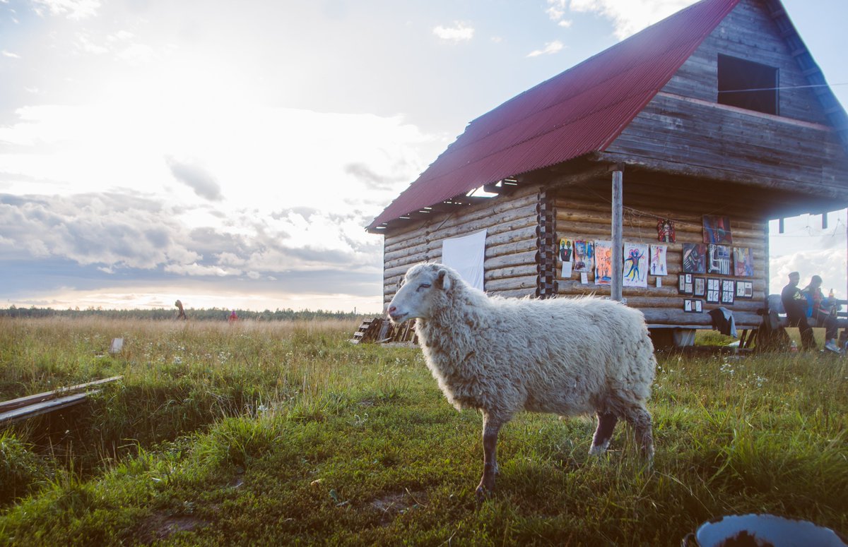 opensea.io/assets/matic/0…  Ranch 2021. #NFT #NFTCommunity #nftphotography 0.03 ETH
