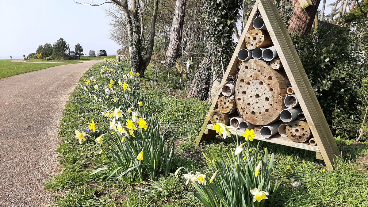 Silloth Green tweet media