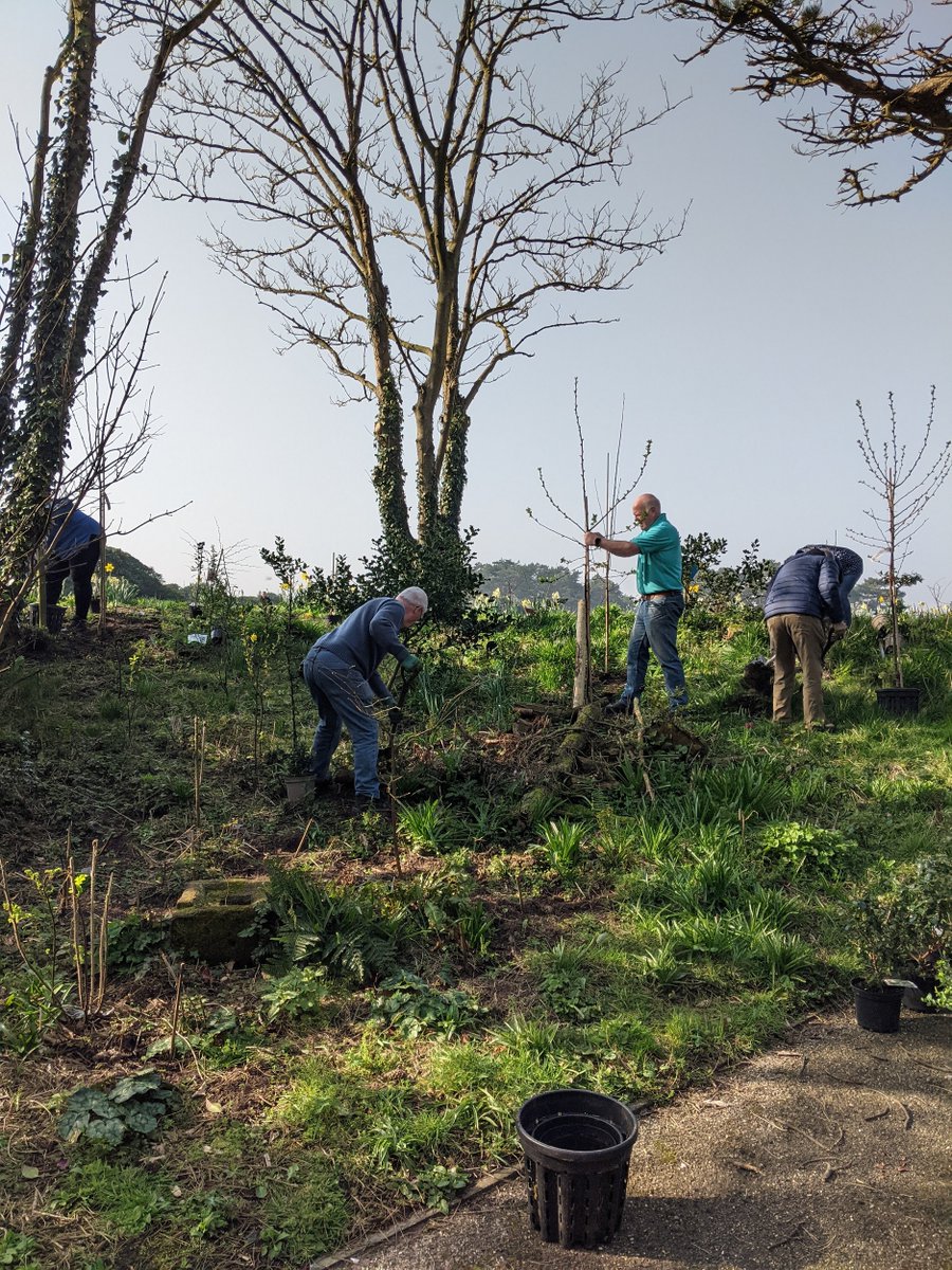 Silloth Green tweet media