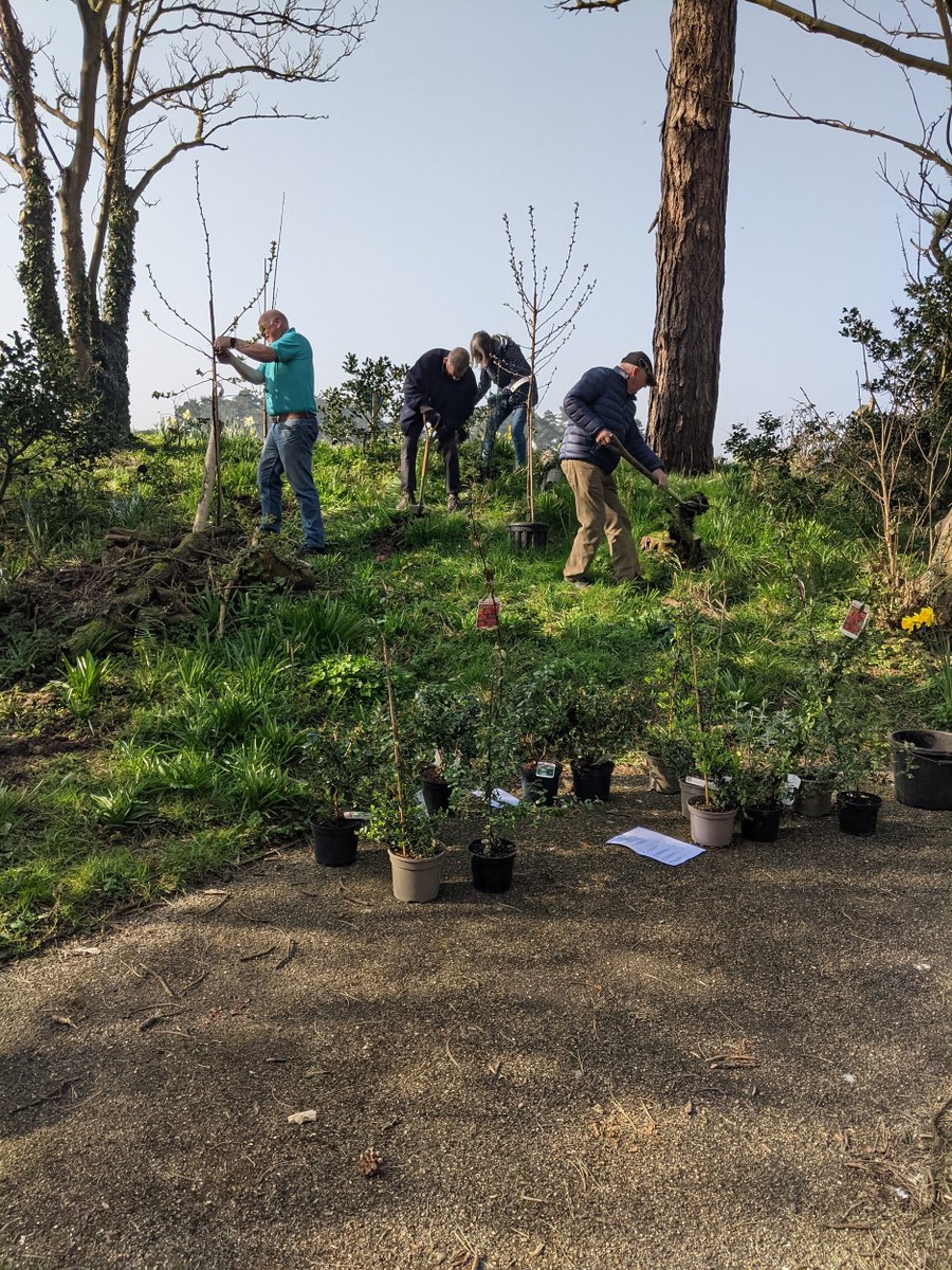 Silloth Green tweet media