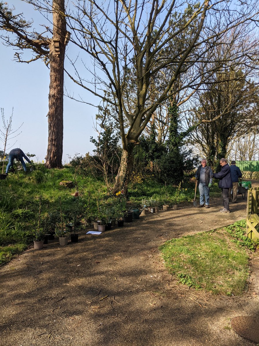 Silloth Green tweet media