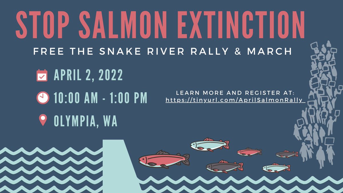 savewildsalmon's tweet photo. Thank you all who attend the #StopSalmonExtinction – #FreeTheSnakeRiver rally today!🐟 Now is the time to remove the 4 lower #SnakeRiver dams! Join us next Saturday for a rally in Olympia! @GovInslee is invited to greet us!
RSVP: https://t.co/lIFCcBGK8b https://t.co/K6TMoBPh0F