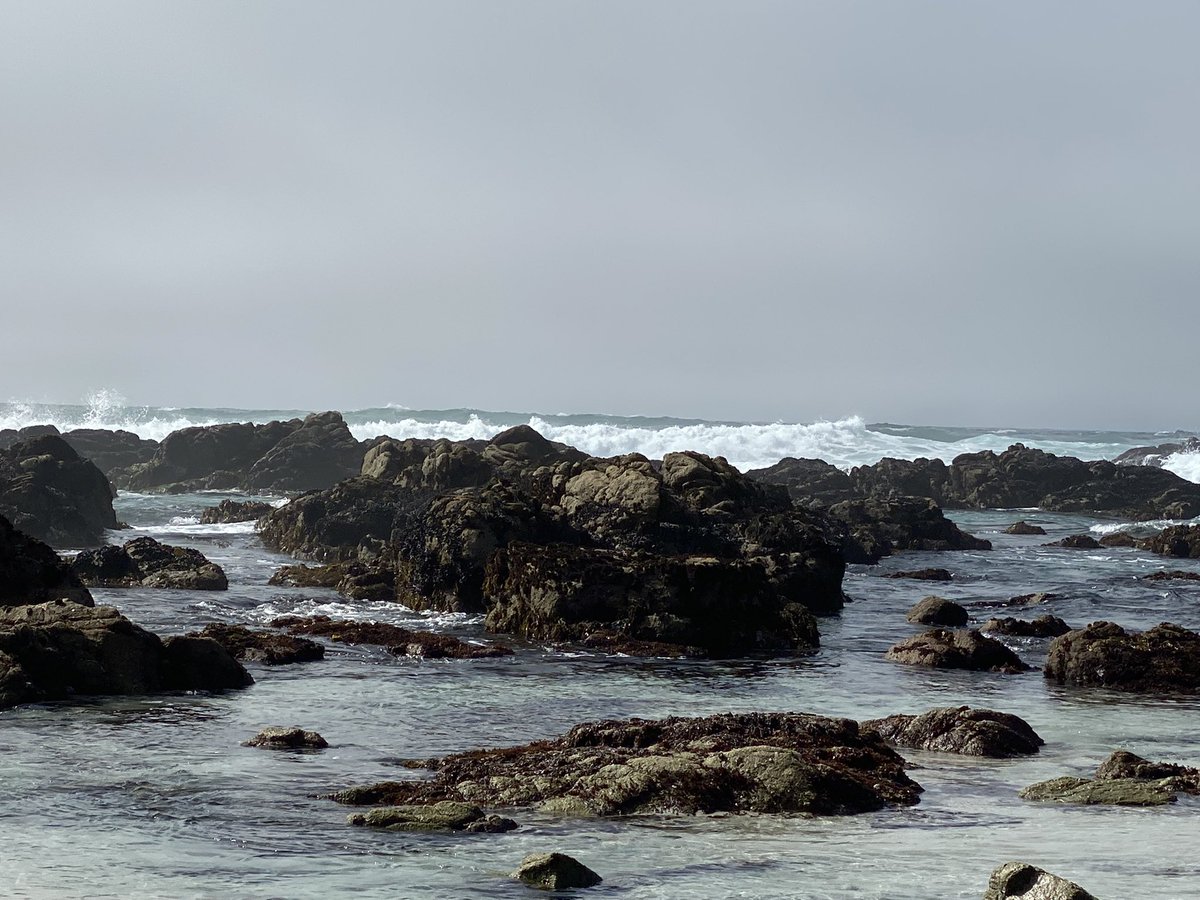 Sdeyoung1's tweet image. Beautiful afternoon with the baby! #preteen #funatthebeach #pebblebeach