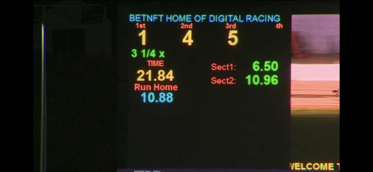 BetNFT - Digital Greyhound Racing (DGR) tweet media