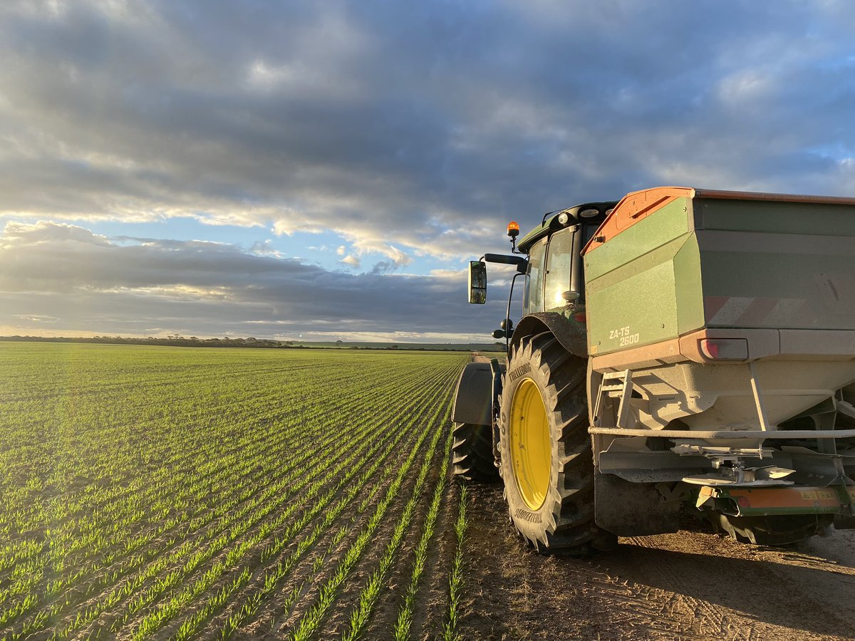 Jamie Nicolaou tweet media