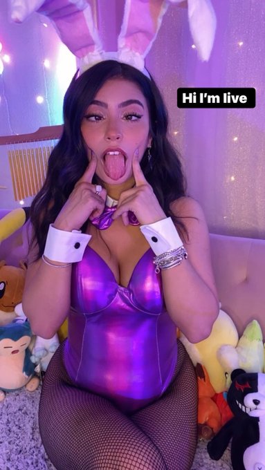 hi im live :3 meow https://t.co/jQ3o4TTz3x