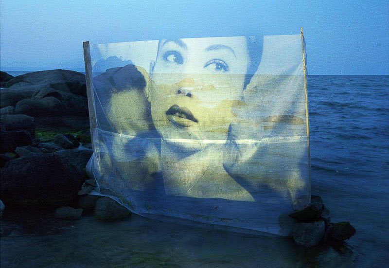 Mia ✦彡 tweet media