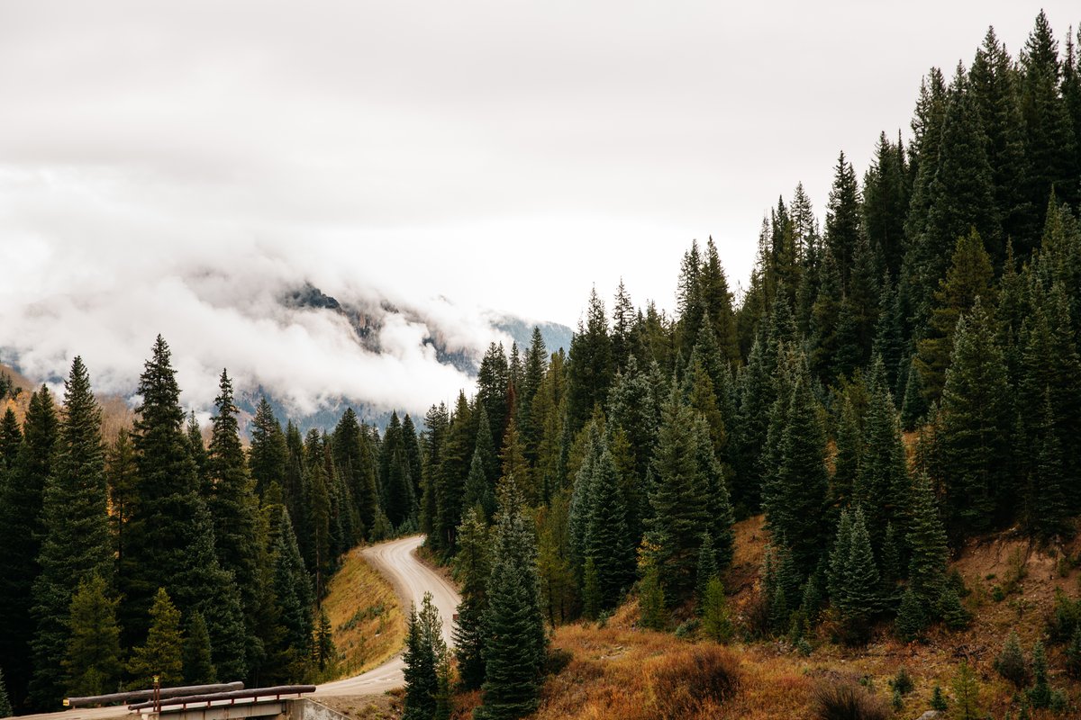 azAprilkeys's tweet photo. What's the most picturesque place you've ever been? https://t.co/wFspOxIay1 https://t.co/e9GyZwj0Xl