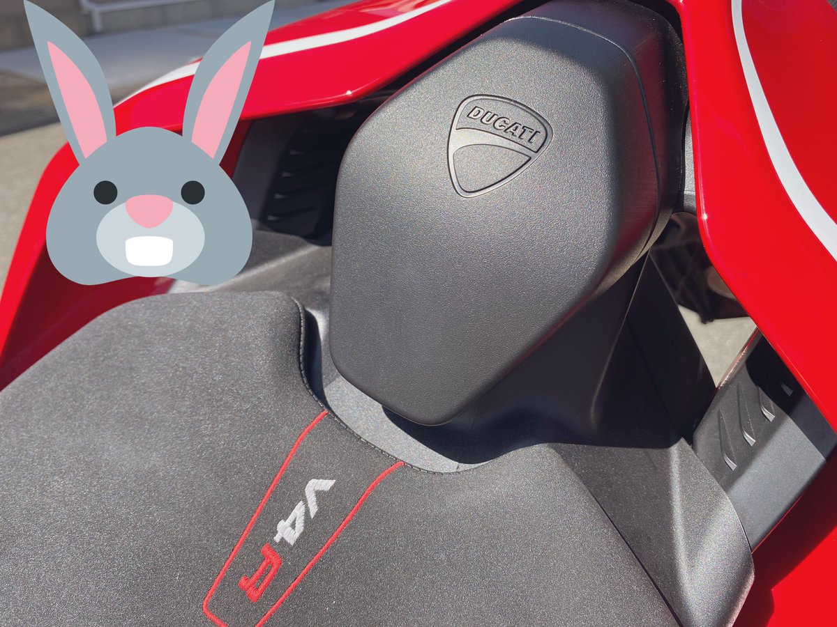 CampCar55's tweet photo. 何となく着いていた���
バイク買っておられました!
ビックリー
知らなかったのはいつもの事なんだけど〜(笑)
ケガだけはしないで😭
#DOCATI https://t.co/pUTWVVp9vs