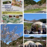 ツイートに含まれる画像