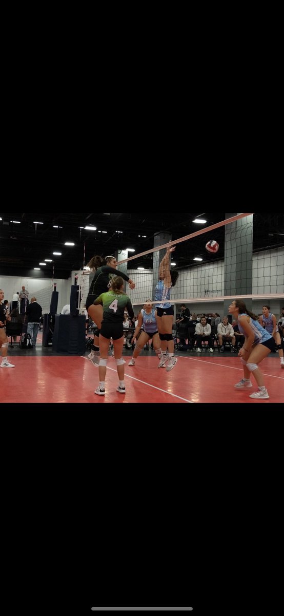 Jenna Heywang tweet media