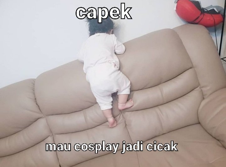 ywanzn's tweet photo. Kumpulan meme cia https://t.co/J6fbS4RnJx