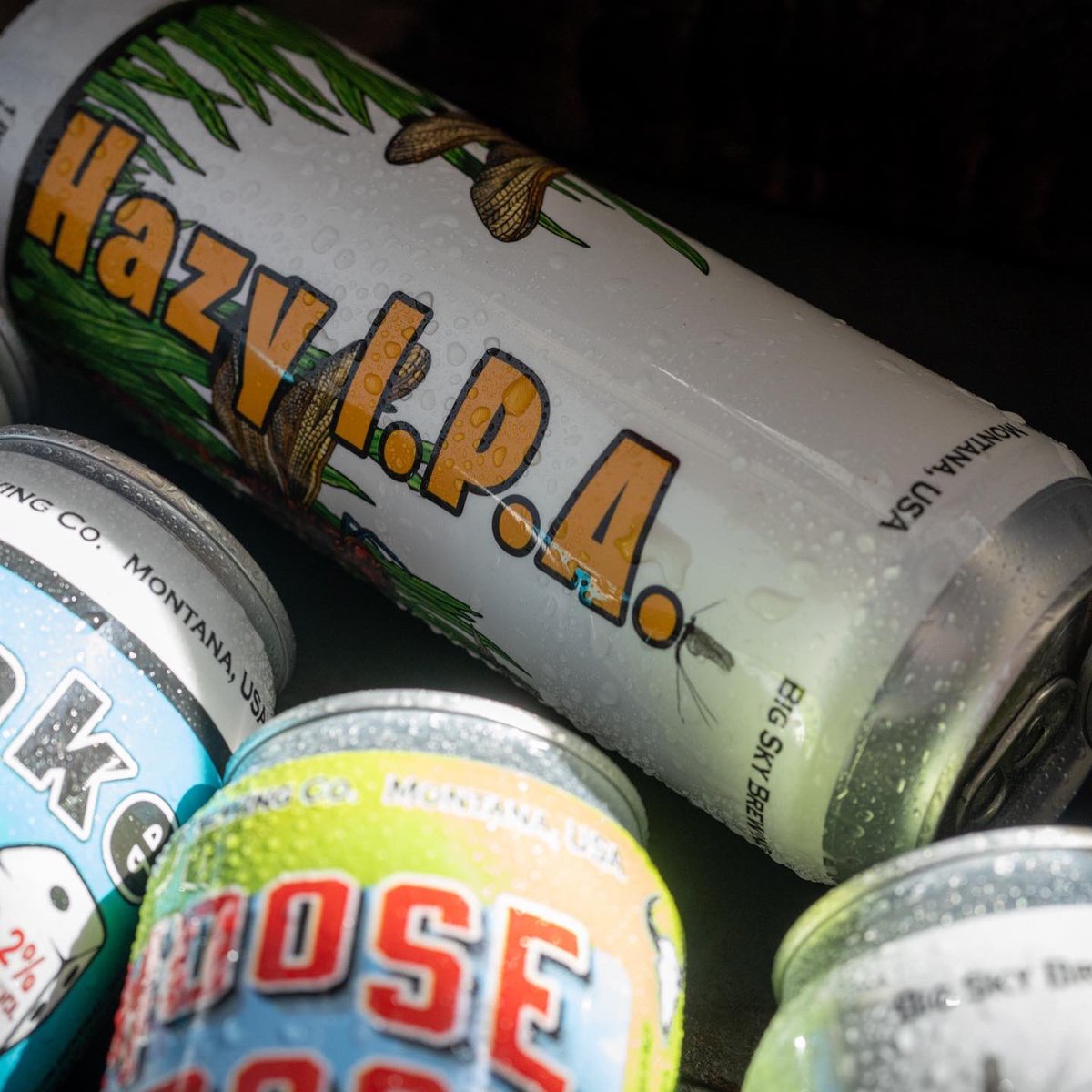 Because sometimes 12 ounces isn’t enough. 19.2 ounces of the good stuff.  #HoldMyBeerAndWatchThis